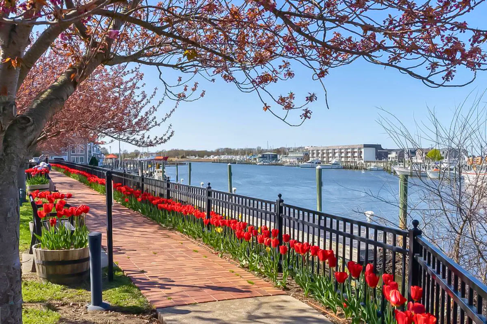 Lewes Vacation Rental Explore Beaches, History & Charm!